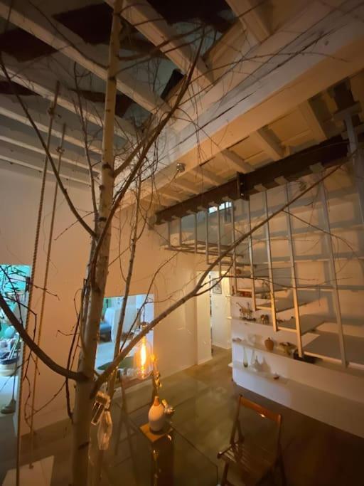 Casa Degli Alberi Appartement Turijn Buitenkant foto