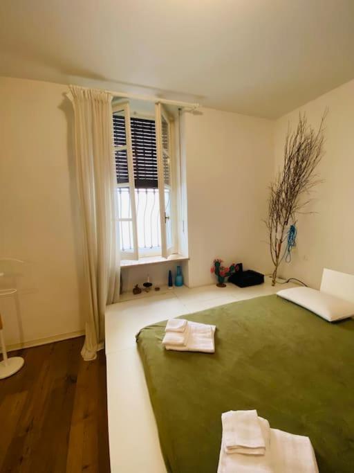 Casa Degli Alberi Appartement Turijn Buitenkant foto
