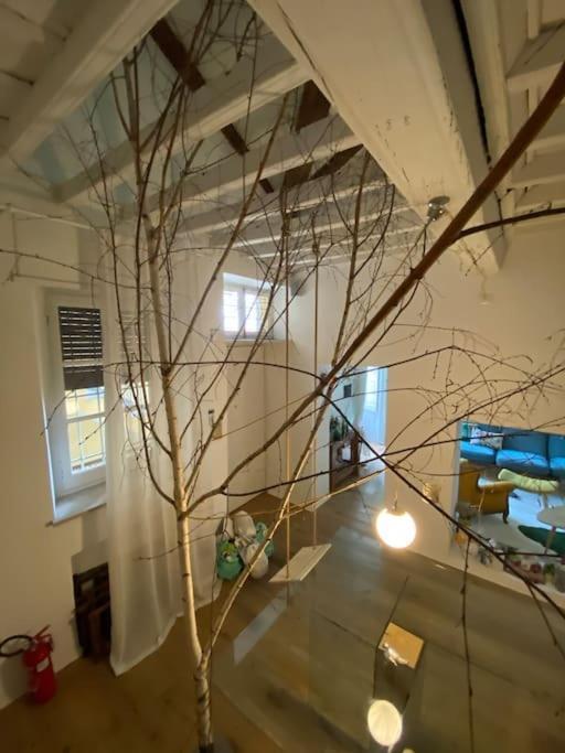 Casa Degli Alberi Appartement Turijn Buitenkant foto