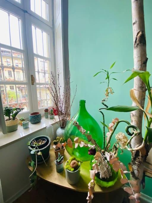 Casa Degli Alberi Appartement Turijn Buitenkant foto